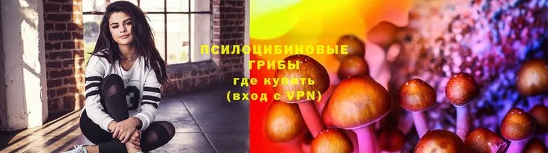 купить   Багратионовск  hydra ONION  Псилоцибиновые грибы Magic Shrooms 